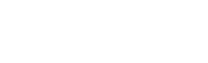 Wordpress Ajansı